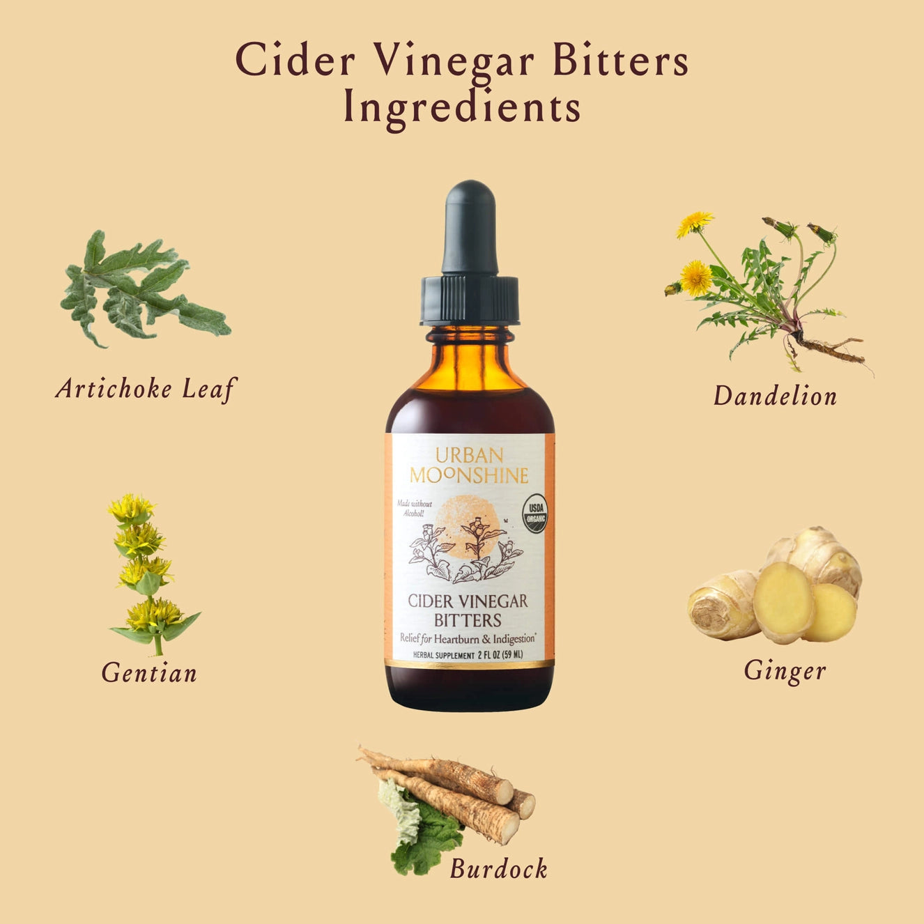 Cider Vinegar Digestion Bitters