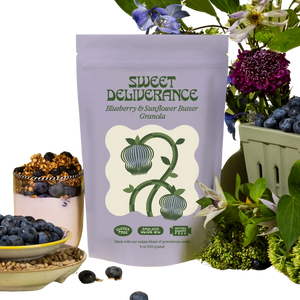 Blueberry & Sunflower Granola