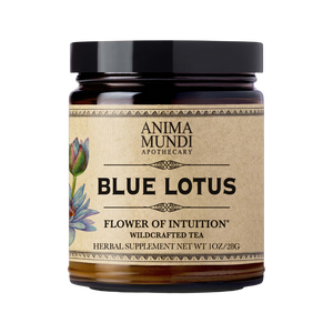 Blue Lotus